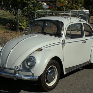 Meet your Posher, Darryl